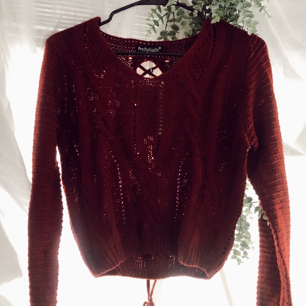 Pretty Guide Cropped Sweater